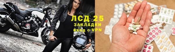 трава Аркадак