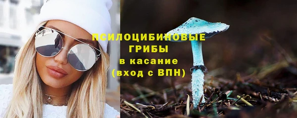 прущий лед Осинники