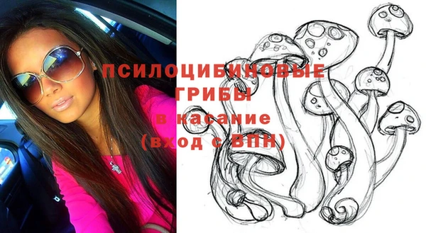 прущий лед Осинники